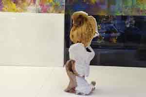 ausstellungsansicht detail