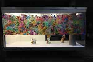 ausstellungsansicht vitrine