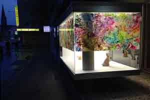 ausstellungsansicht vitrine